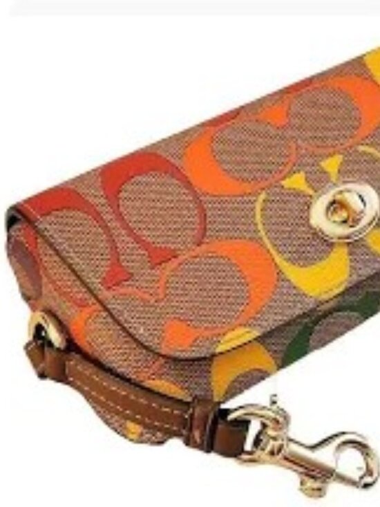 Coach main image 4
